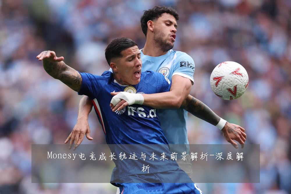 Monesy电竞成长轨迹与未来前景解析-深度解析